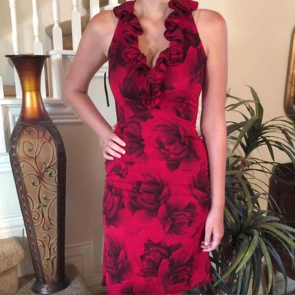 Elie Tahari 💕 Red Floral Dress 💕 EUC